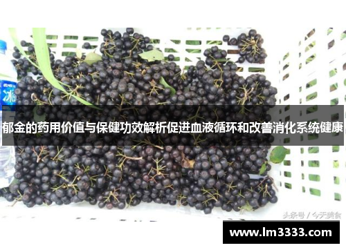 郁金的药用价值与保健功效解析促进血液循环和改善消化系统健康